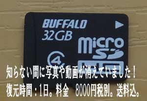 microSD復元写真
