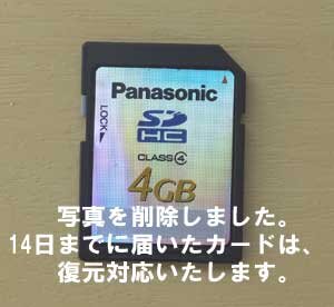 デジカメの写真を復元させていただきました。復元して気づいたこと。