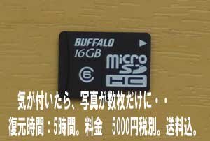 microSD写真