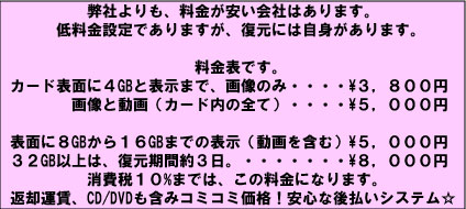 SDカード復元の、料金表です。
