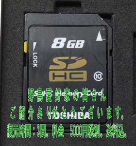 野鳥愛好家の皆さん、いつもご紹介ありがとうございます。感謝です。