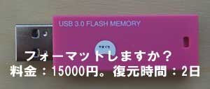 USBメモリー、フォーマット表示。自分ではデータが破損して復元が無理でした。