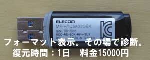 ELECOM USBメモリー。フォーマット表示その場で無料診断。