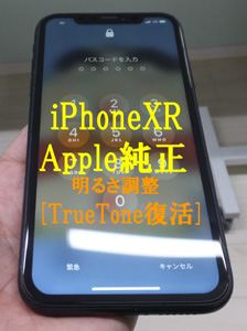 県外で修理したiPhoneXR、[TrueTone]消えていました。